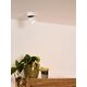 YUMIKO Ceiling spotlight 1x8W Ø7.8 cm White