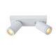 TAYLOR Ceiling Spotlight 2x GU10/5W IP44 DTW  Whit