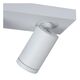 TAYLOR Ceiling Spotlight 2x GU10/5W IP44 DTW  Whit