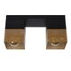 RENATE Ceiling Light  2x E27/40W Black/Gold