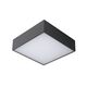 ROXANE Ceiling Light Led Square10W  Anthraci