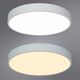 ((СВЕТИЛЬНИК ПОТОЛОЧНЫЙ ARENA LED *  60Вт IP 20 2700-4500 ARTE LAMP