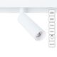 ((СВЕТИЛЬНИК ПОТОЛОЧНЫЙ LINEA LED * 1 8Вт IP 20 3000 ARTE LAMP