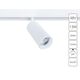СВЕТИЛЬНИК ПОТОЛОЧНЫЙ LINEA LED * 1 13Вт IP 20 3000 ARTE LAMP