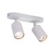 ((СВЕТИЛЬНИК ПОТОЛОЧНЫЙ AQUARIUS GU10 * 2 35Вт IP 20  ARTE LAMP