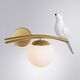 ((СВЕТИЛЬНИК НАСТЕННЫЙ ELTANIN E14 * 1 60Вт IP 20  ARTE LAMP