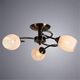 ((СВЕТИЛЬНИК ПОТОЛОЧНЫЙ ARYA E27 * 3 40Вт IP 20  ARTE LAMP
