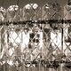 ((СВЕТИЛЬНИК ПОДВЕСНОЙ NICOLETTA E14 * 10 40Вт IP 20 <> ARTE LAMP