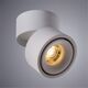 ((СВЕТИЛЬНИК ПОТОЛОЧНЫЙ ARCTURUS LED *  15Вт IP 20 3000 ARTE LAMP