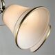 ((СВЕТИЛЬНИК ПОТОЛОЧНЫЙ BLOSSOM E27 * 5 60Вт IP 20  ARTE LAMP