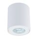 ((СВЕТИЛЬНИК ПОТОЛОЧНЫЙ TINO GU10*1 35Вт IP44  ARTE LAMP
