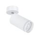 ((СВЕТИЛЬНИК ПОТОЛОЧНЫЙ IMAI GU10*1 15Вт IP20  ARTE LAMP