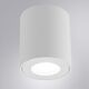 ((СВЕТИЛЬНИК ПОТОЛОЧНЫЙ TINO GU10*1 35Вт IP44  ARTE LAMP
