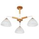 ((СВЕТИЛЬНИК ПОТОЛОЧНЫЙ MATTHEW E27 * 3 40Вт IP 20  ARTE LAMP