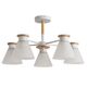 ((СВЕТИЛЬНИК ПОТОЛОЧНЫЙ TYLER E27 * 5 60Вт IP 20  ARTE LAMP