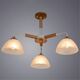 ((СВЕТИЛЬНИК ПОТОЛОЧНЫЙ MATTHEW E27 * 3 40Вт IP 20  ARTE LAMP