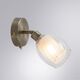 ((СВЕТИЛЬНИК НАСТЕННЫЙ BIHAM E14 * 1 40Вт IP 20  ARTE LAMP