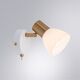 ((СВЕТИЛЬНИК НАСТЕННЫЙ FALENA E14 * 1 40Вт IP 20  ARTE LAMP