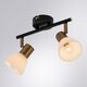 ((СВЕТИЛЬНИК ПОТОЛОЧНЫЙ FALENA E14 * 2 40Вт IP 20  ARTE LAMP