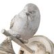 ((СВЕТИЛЬНИК НАСТЕННЫЙ GEMELLI E27 * 1 60Вт IP 20 <> ARTE LAMP