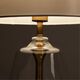 ((СВЕТИЛЬНИК НАСТОЛЬНЫЙ PLEIONE E27*1 60Вт IP20  ARTE LAMP