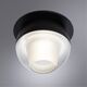 ((СВЕТИЛЬНИК ПОТОЛОЧНЫЙ DENEB LED * 1 8Вт IP 20 4000 ARTE LAMP