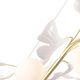 ((Люстра COLIBRI SP10 GOLD