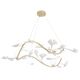 ((Люстра COLIBRI SP6 GOLD