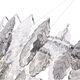((Люстра TREVI SP8 CHROME