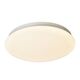 потолочный светильник Ledante [D210*H50 1*LED*24W, 1500LM, 4000K, included]