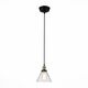 Светильник подвесной ST-Luce EVOLUTO [Черный, бронза/Прозрачный E27 1*40W]
