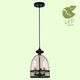 Подвесной светильник Lussole Loft Brighamton