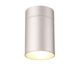 CEILING 1L  SILVER