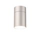 CEILING 1L  SILVER