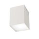 CEILING 1L  WHITE