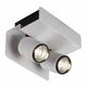 SPOT SURFACE MOUNTED 2L  [MATT WHITE]
