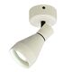SPOTLIGHT 1L WHITE]