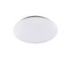 ROUND LED CEILING [30 CM - 5000K WHITE]