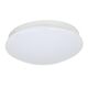 потолочный светильник Ledante [D210*H50 1*LED*24W, 1500LM, 4000K, included]