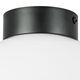 812117 (MX8131-1A ) Люстра GLOBO 1х40W E14 matt black/white (в комплекте)