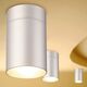 CEILING 1L  SILVER