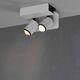 SPOT SURFACE MOUNTED 2L  [MATT WHITE]