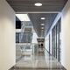 LED DOWNLIGHT [6W 4000K ROUND MATT WHITE]