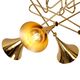 CEILING 5L GOLD