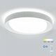 Ceiling Lamp LED 36W 3000K WHITE