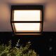 CEILING / WALL LIGHT OUTDOOR  DARK GREY LED IP65 - 9W - 3000K DARK GREY