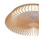 LED CEILING 70W FAN 30W WITH REMOTE CONTROL Wood
