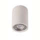 CEILING SPOT R WHITE OUTDOOR IP65 1L*GU10 WHITE