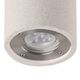 CEILING SPOT R WHITE OUTDOOR IP65 1L*GU10 WHITE