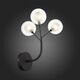 Бра ST Luce Demele [Черный/Прозрачный, Белый G4 LED 3*2W]